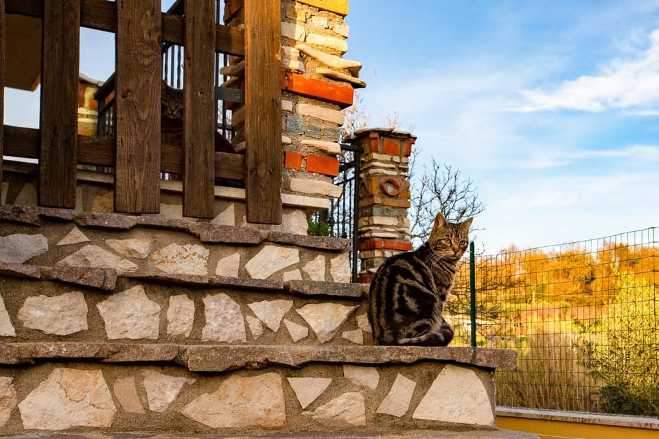 Villa Concipat Rooms Bed and Breakfast in Rome