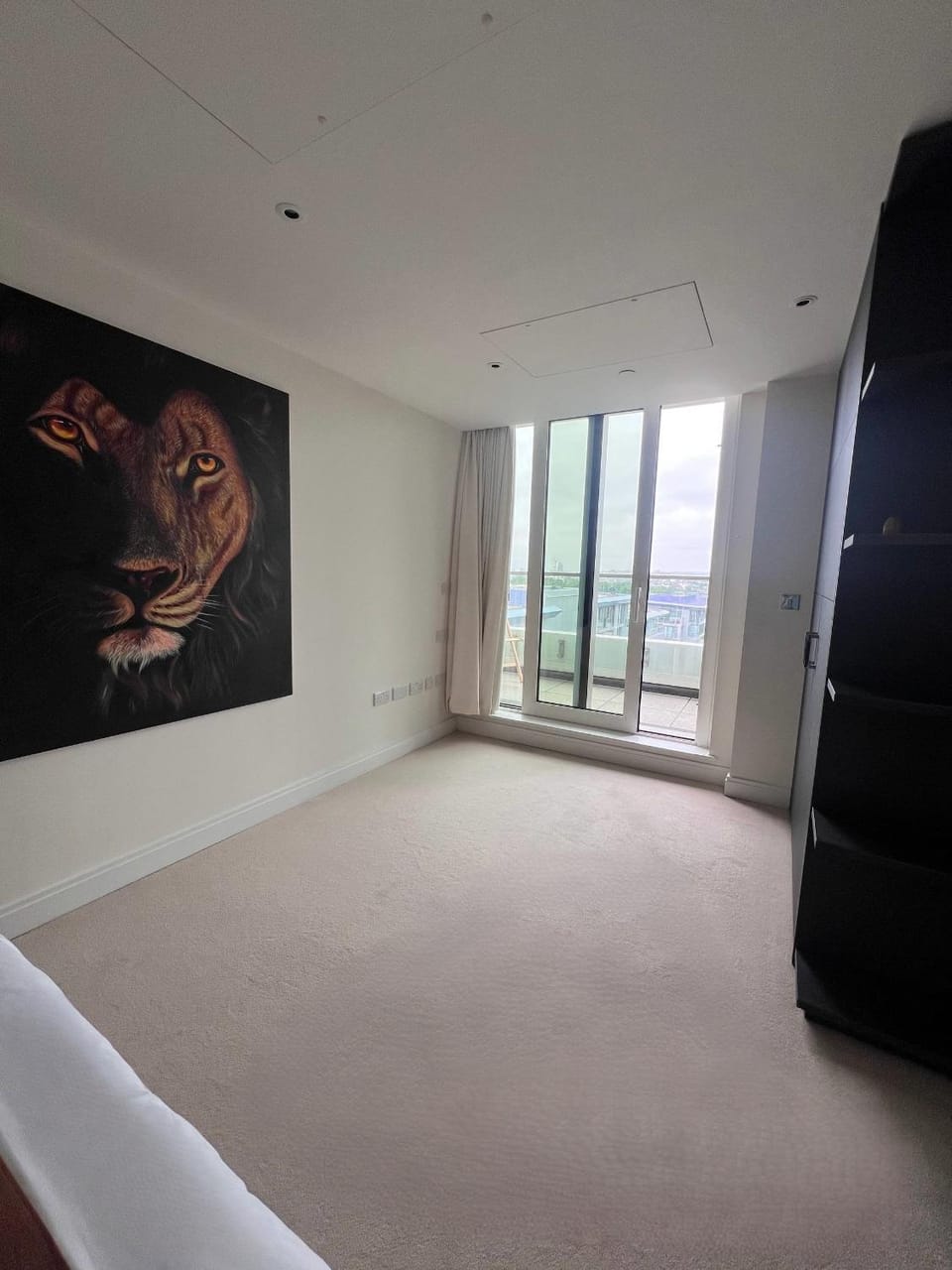 Spacious 4-bedroom apartment, Battersea Park Apartment in London
