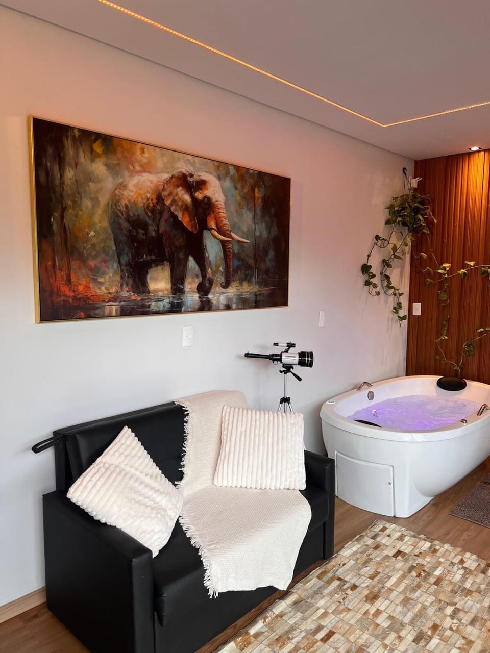 Hot Tub, Living room, Bedroom