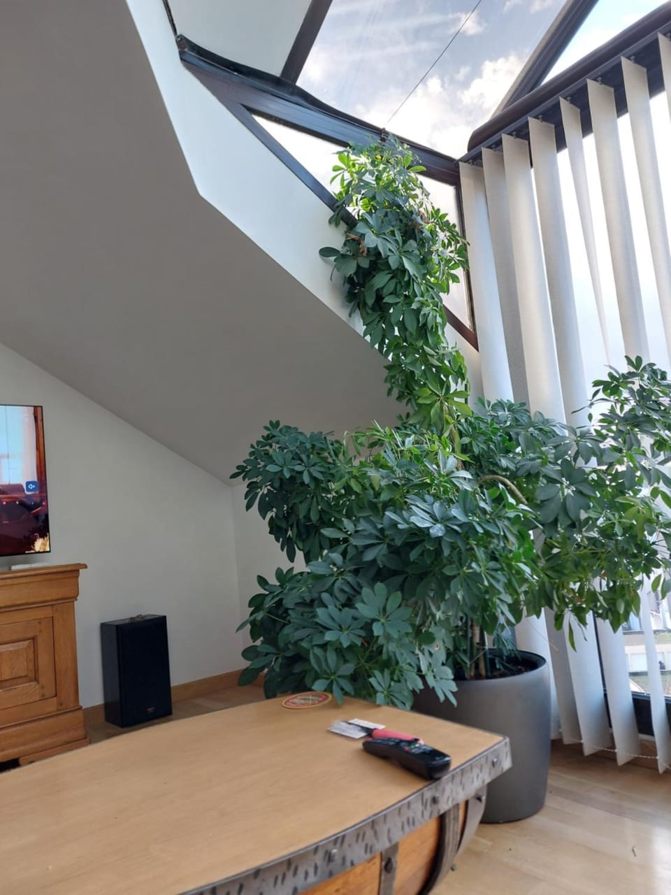 Chez Felia Vacation rental in Île-de-France