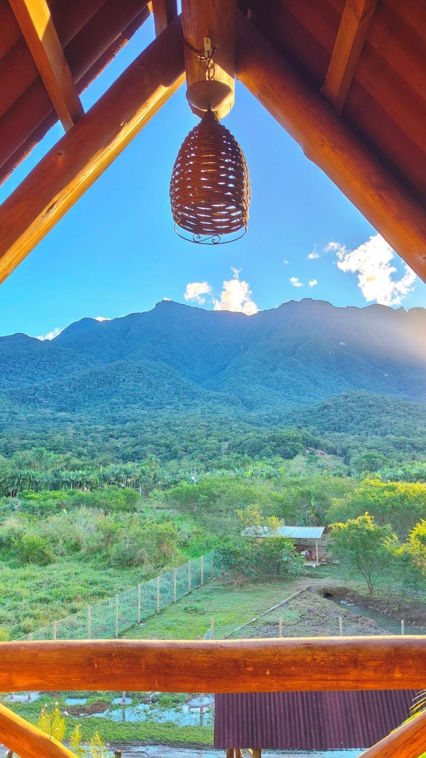 Mountain view
