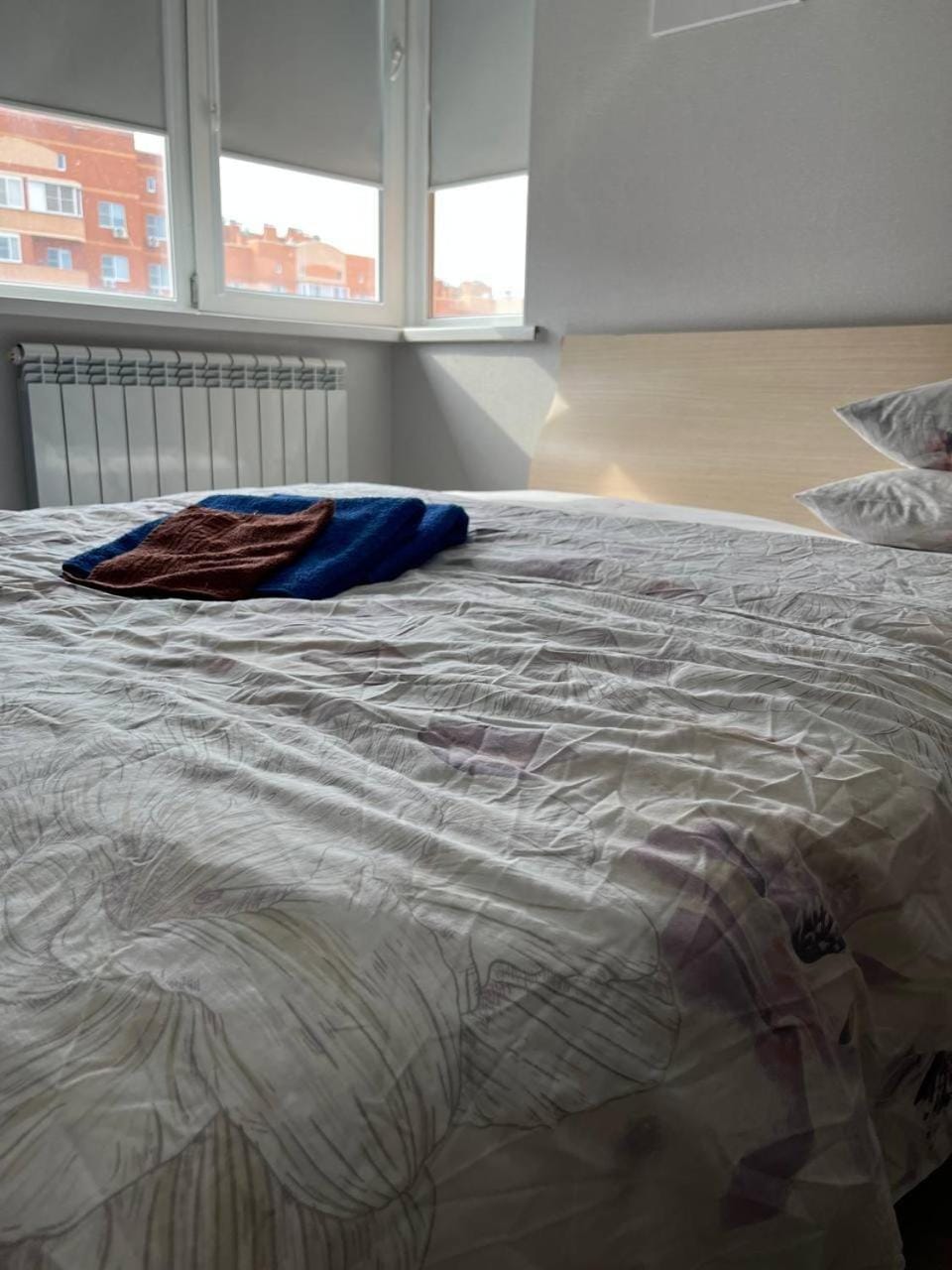Cozy 1BR Dostyq street Apartment in Kazakhstan