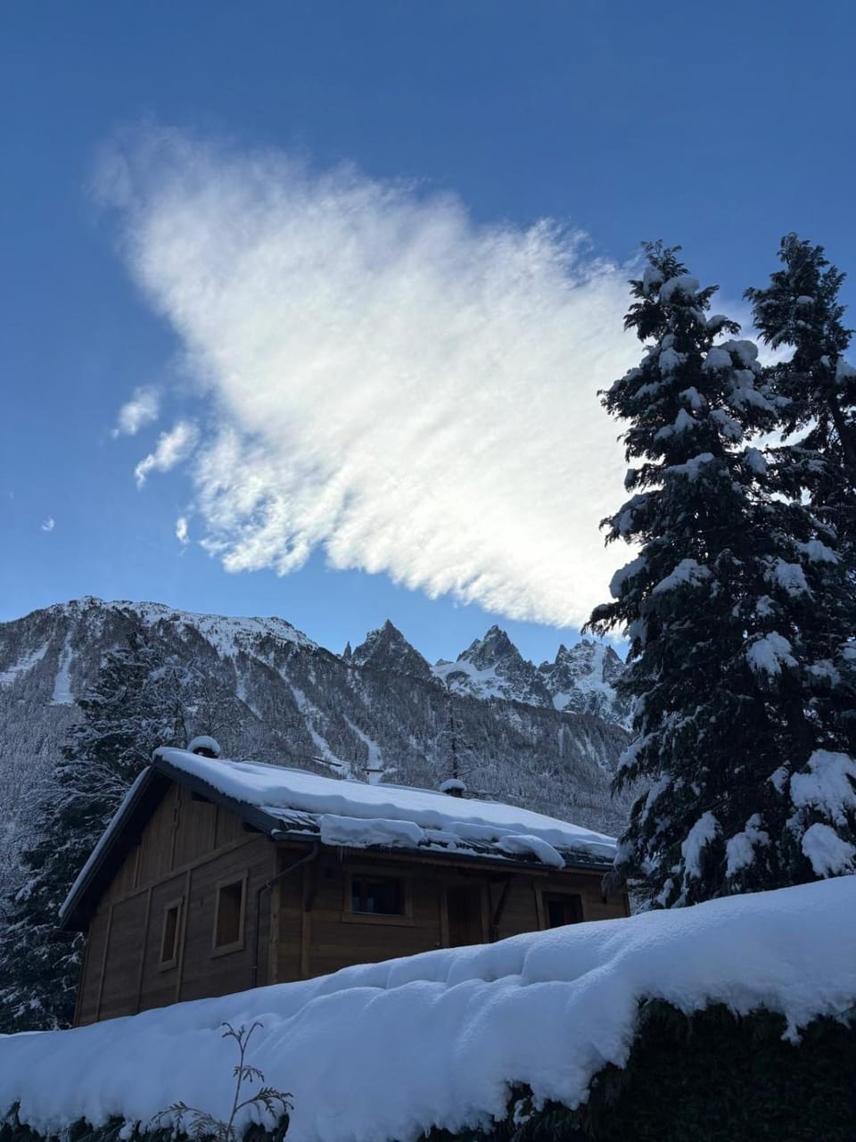 Chalet ISATIS Chalet in Chamonix