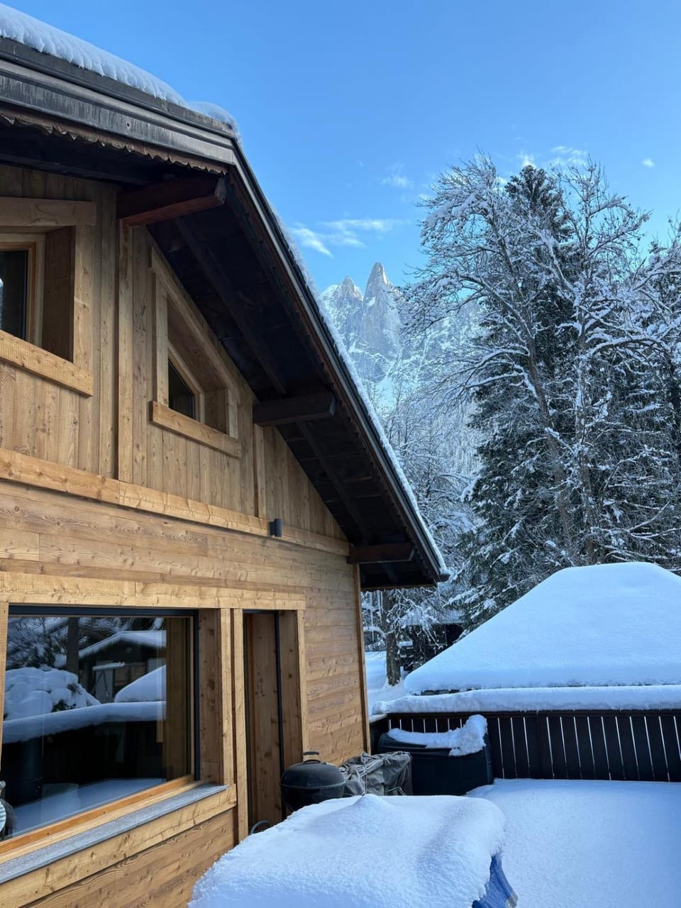 Chalet ISATIS Chalet in Chamonix