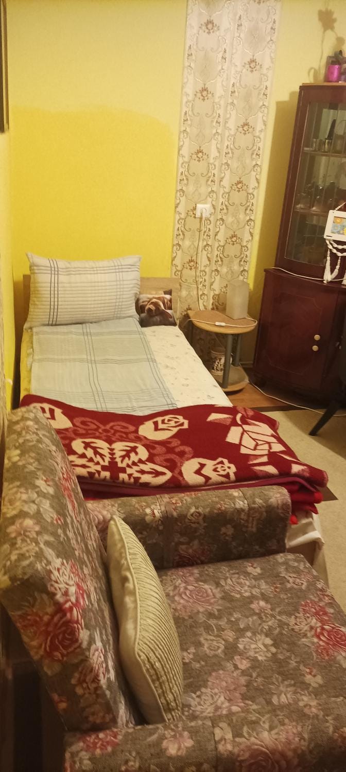 Apartament near city centre with garden Apartment in Cluj-Napoca
