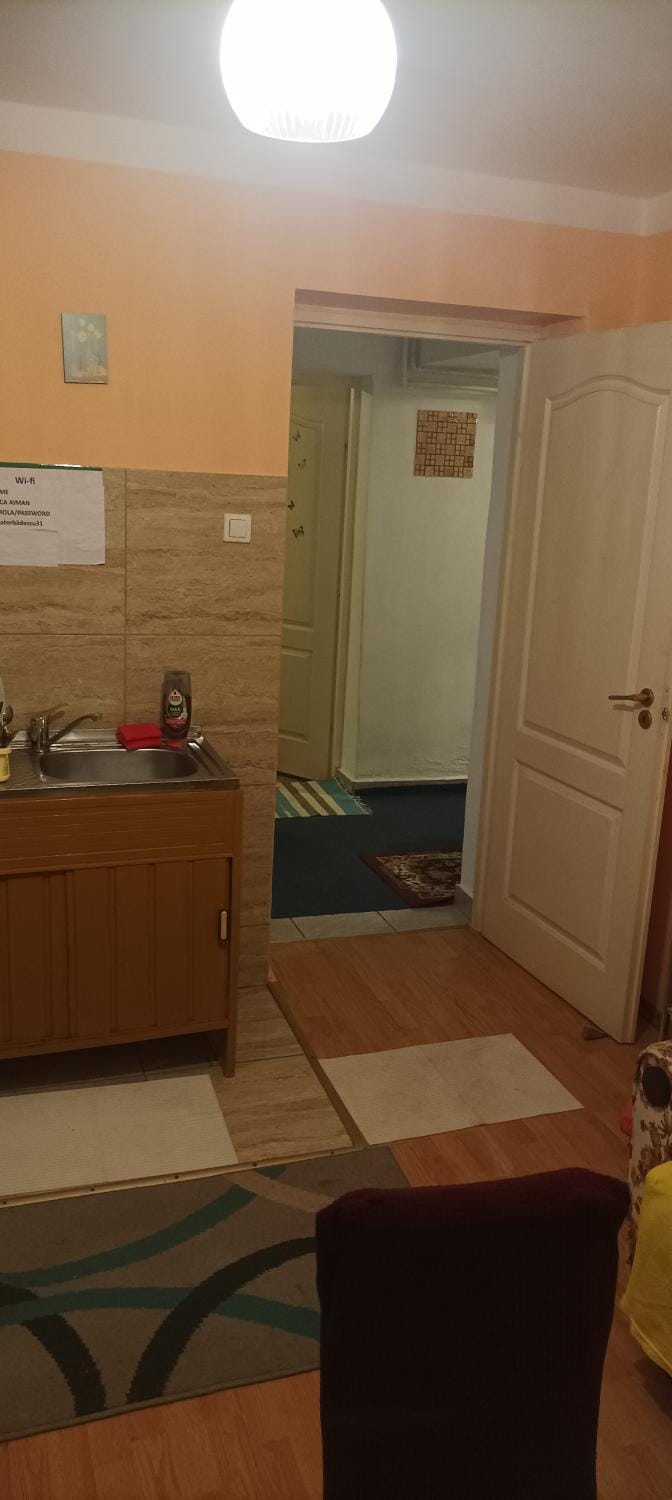 Apartament near city centre with garden Apartment in Cluj-Napoca