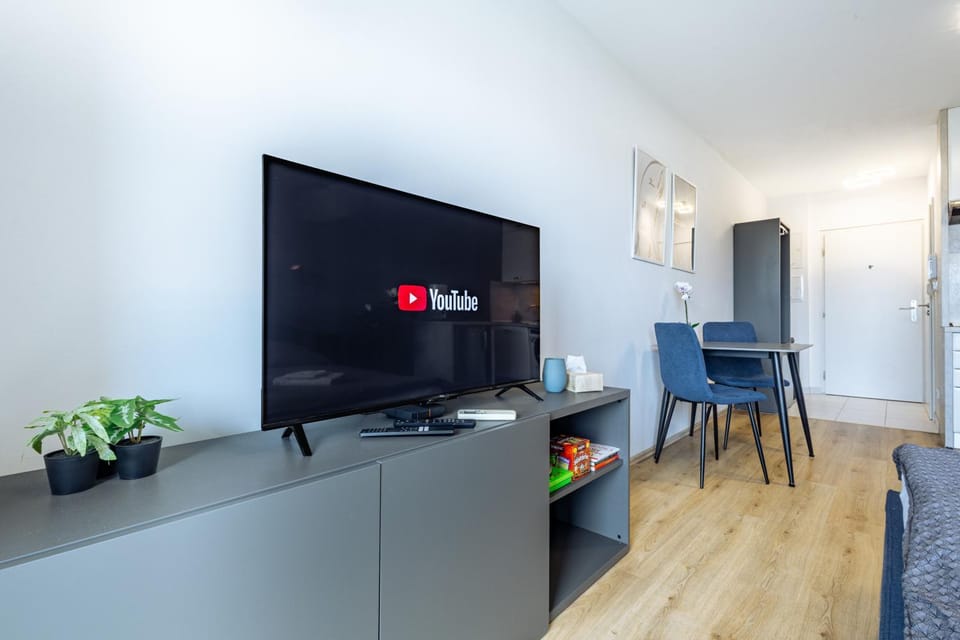 TV and multimedia