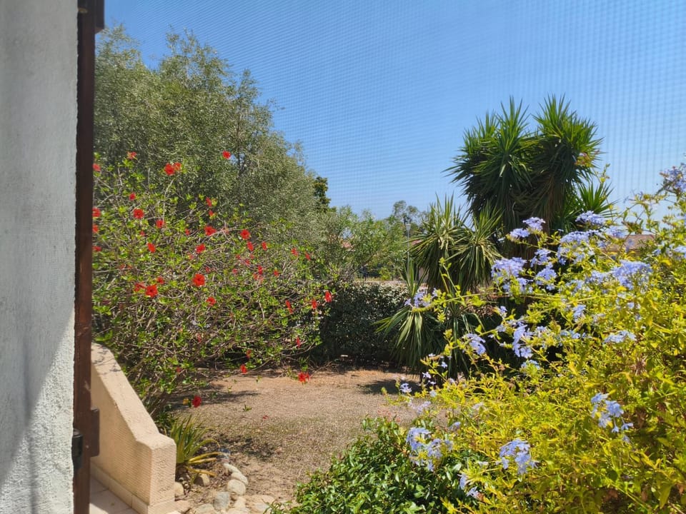 Garden view