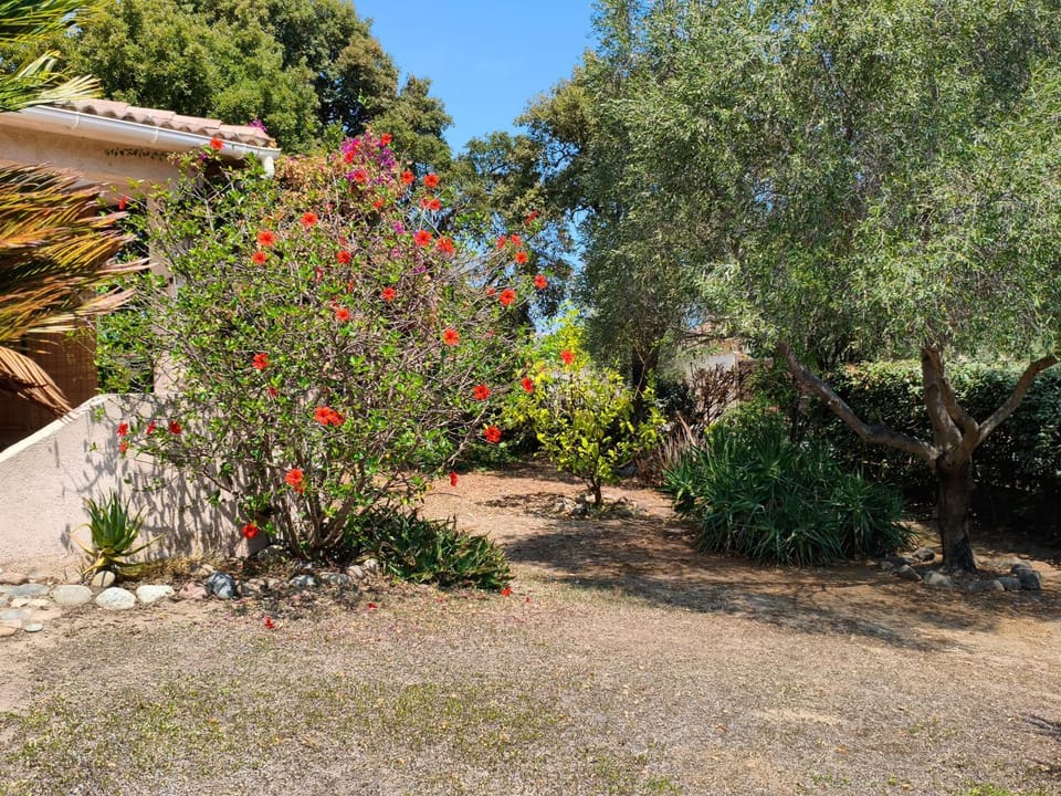 Garden, Garden view