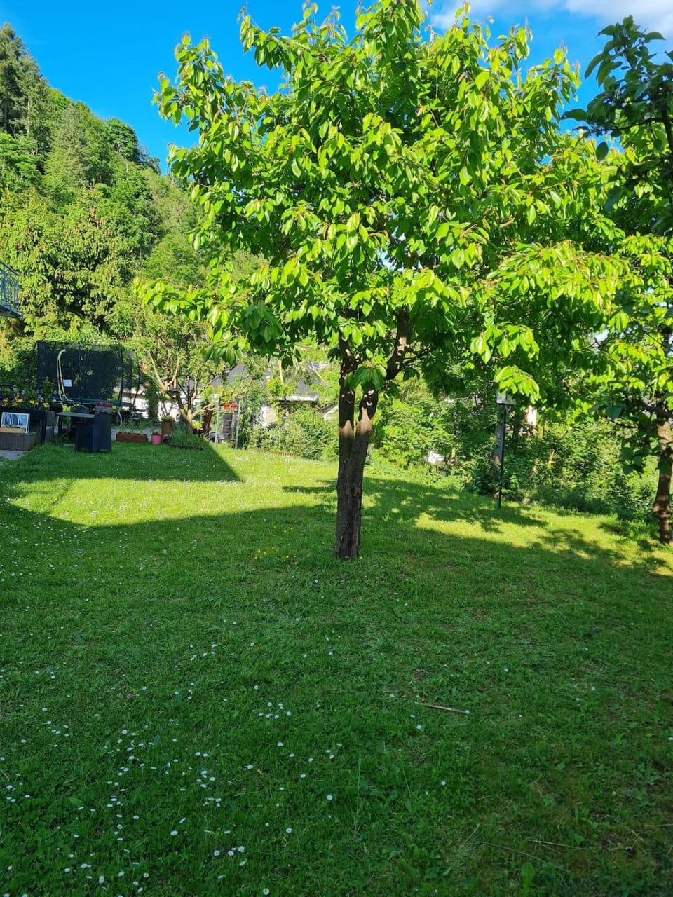 Hillscape Haven Apartment in Ahrweiler