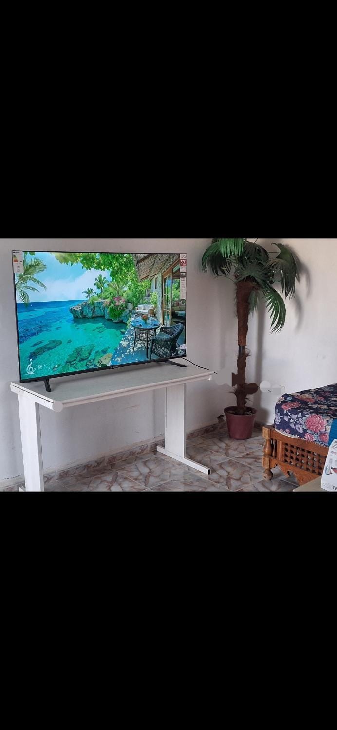 TV and multimedia