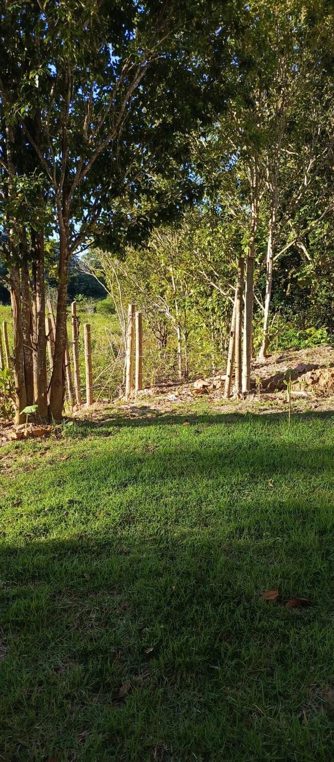 Natural landscape, Garden, Garden view