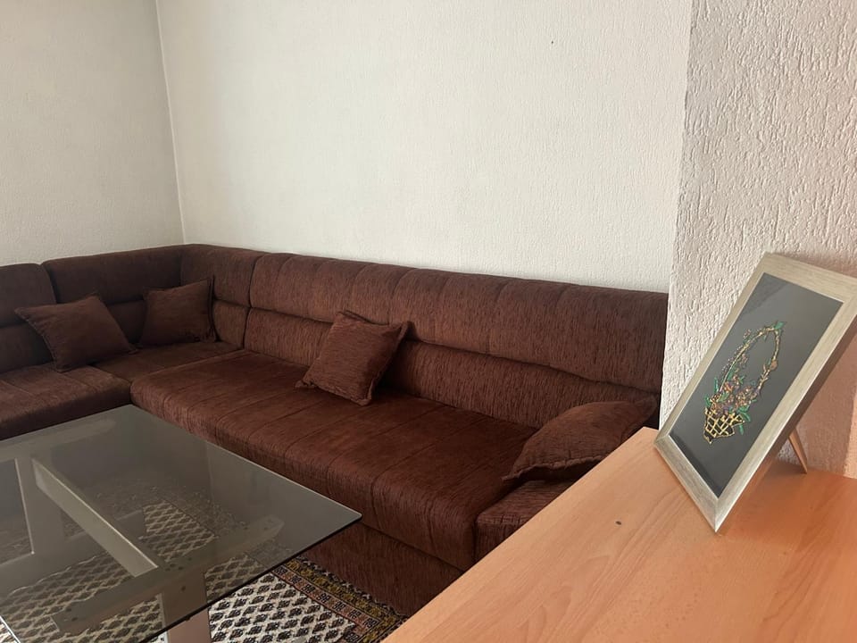 Spacious home Apartment in Sarajevo
