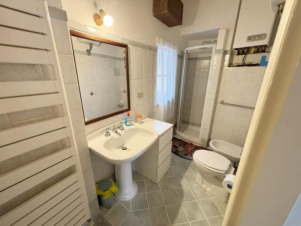 Shower, Toilet, Bathroom, bidet