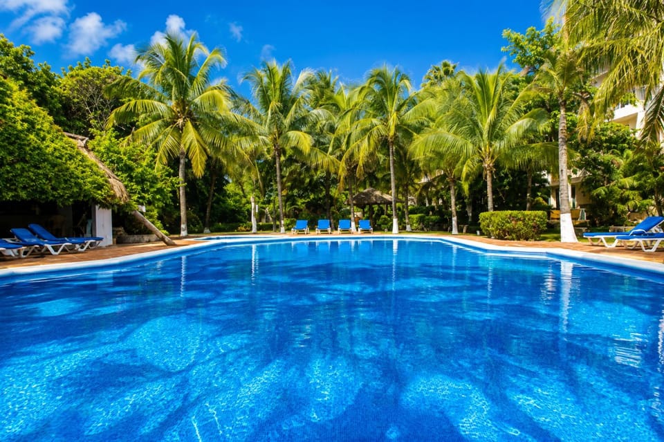 Garden, Garden view, Pool view, sunbed