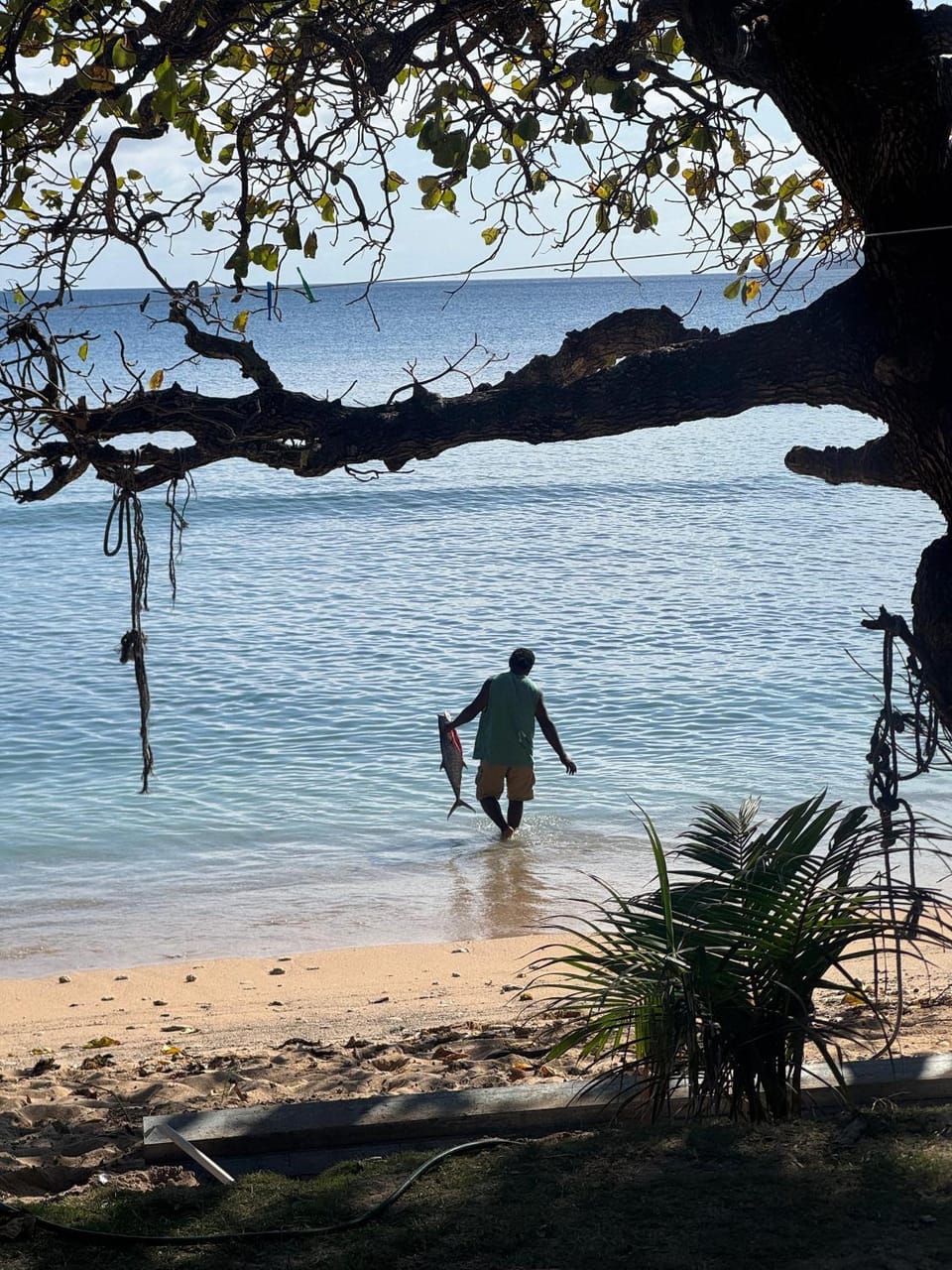 Esava Family Homestay Vacation rental in Western Division, Fiji