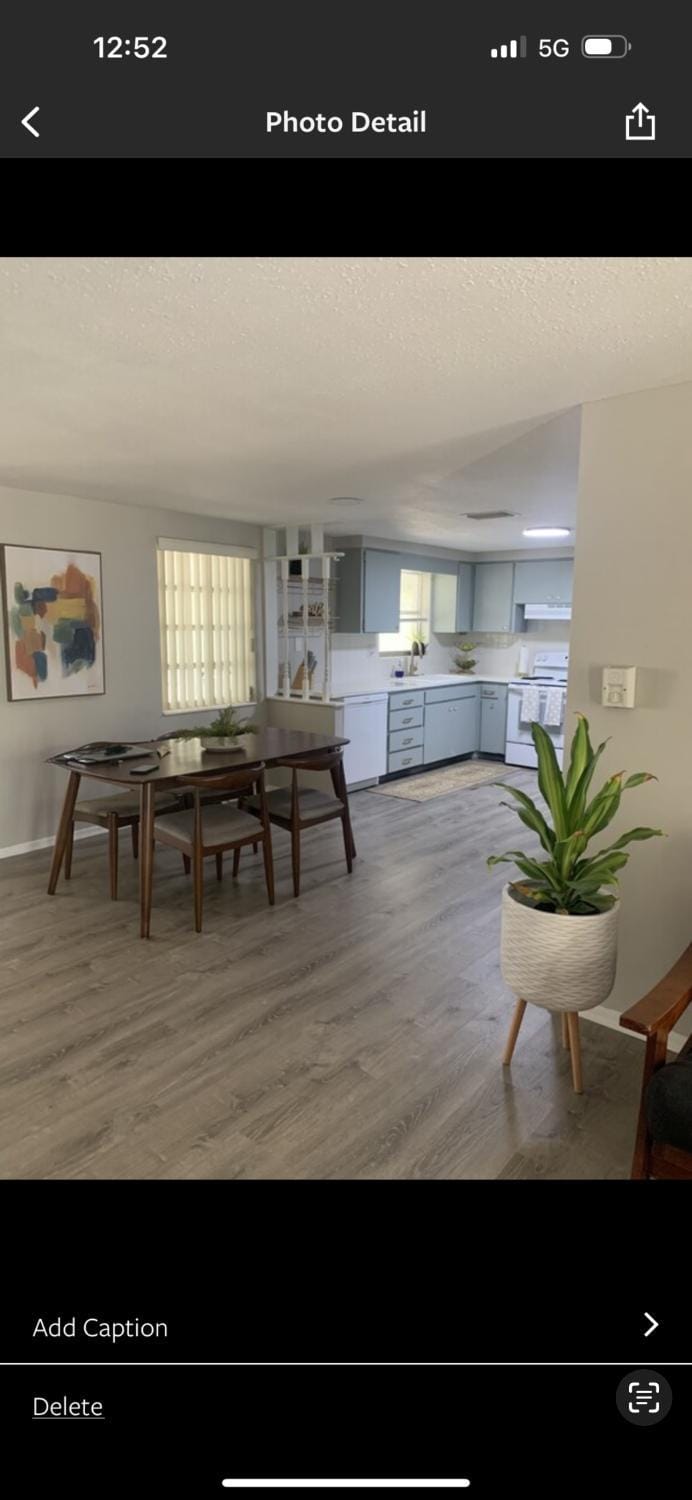 Boho Chic Apartment in New Port Richey