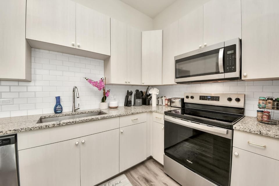 Luxury Houston Apartment Rooftop Pool, City Views & King Beds Near Downtown Apartment in Harris County
