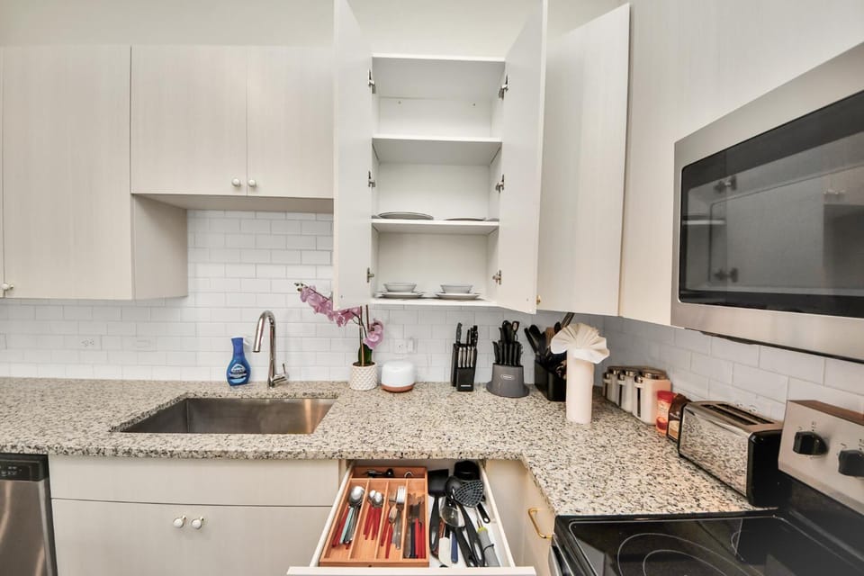 Luxury Houston Apartment Rooftop Pool, City Views & King Beds Near Downtown Apartment in Harris County