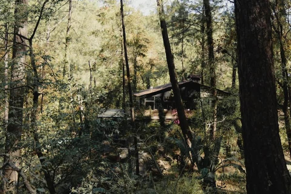 El verdadero lujo es la naturaleza House in Mazamitla