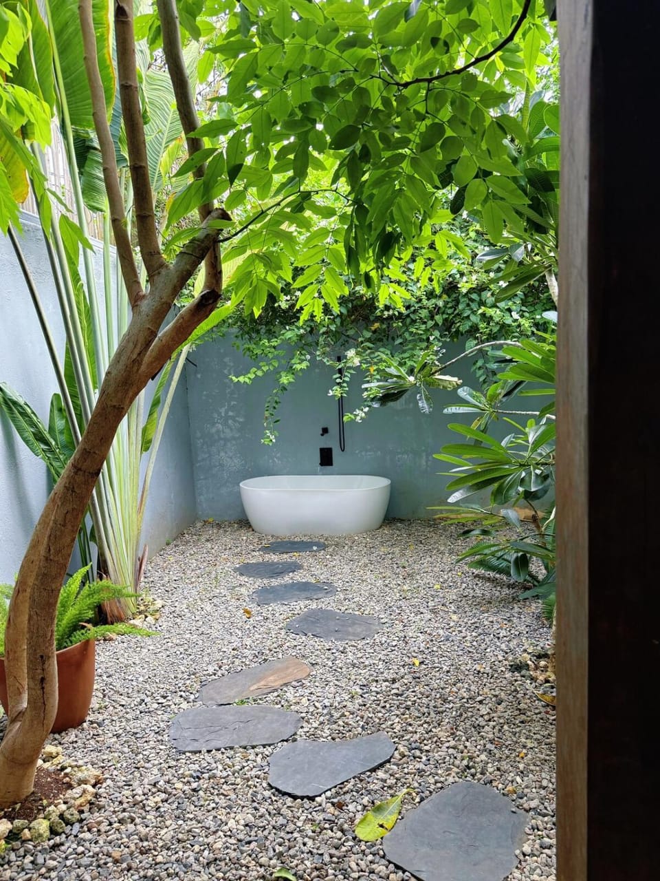 Toilet, Day, Hot Tub