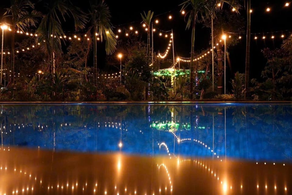 Night, Pool view, Swimming pool, Swimming pool