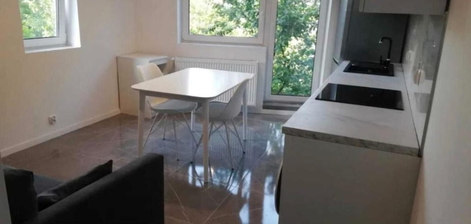 Polna 14 parter, salon z aneksem, sypialnia, łazienka Apartment in Poland