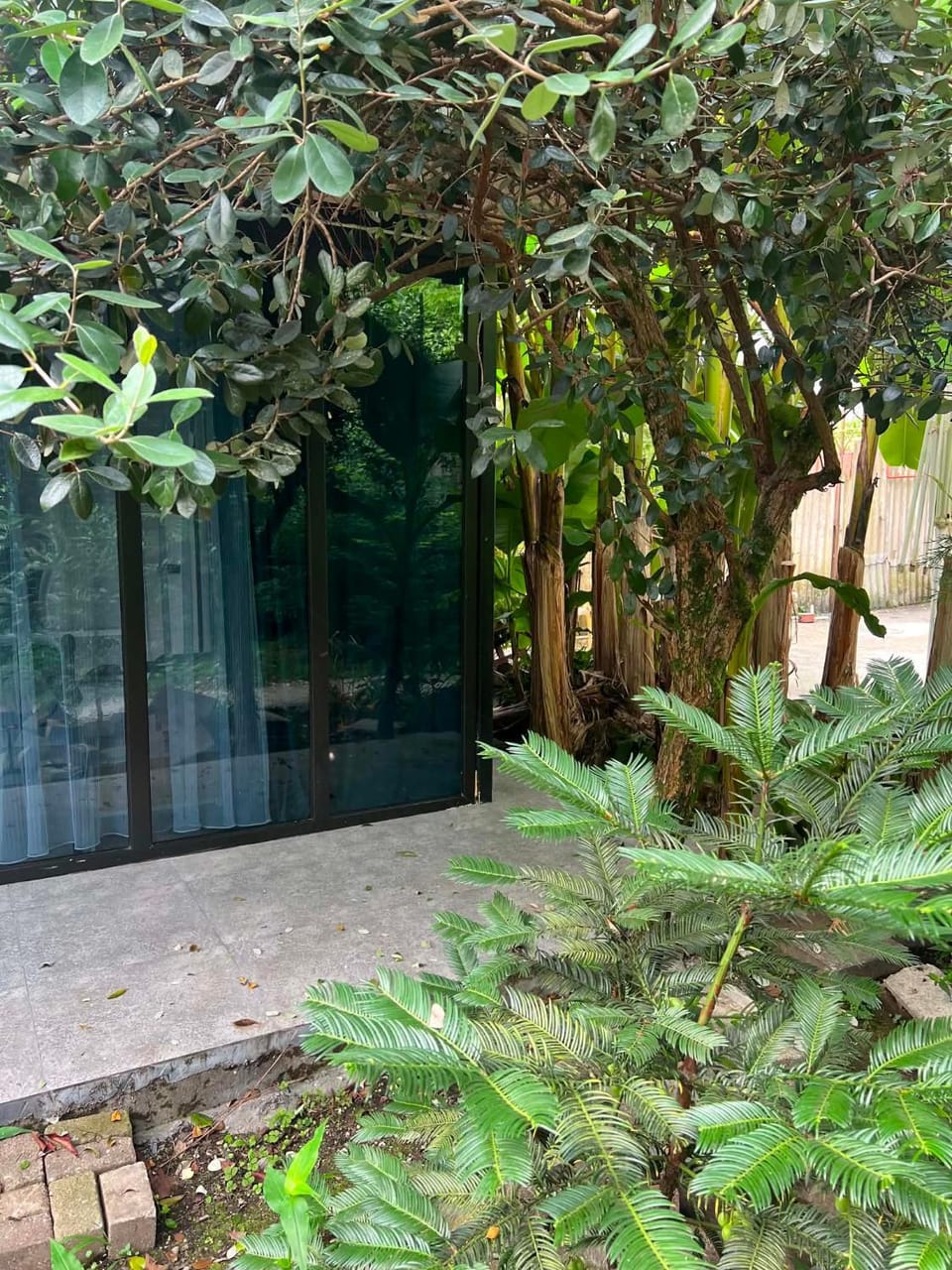 Natural landscape, Garden view
