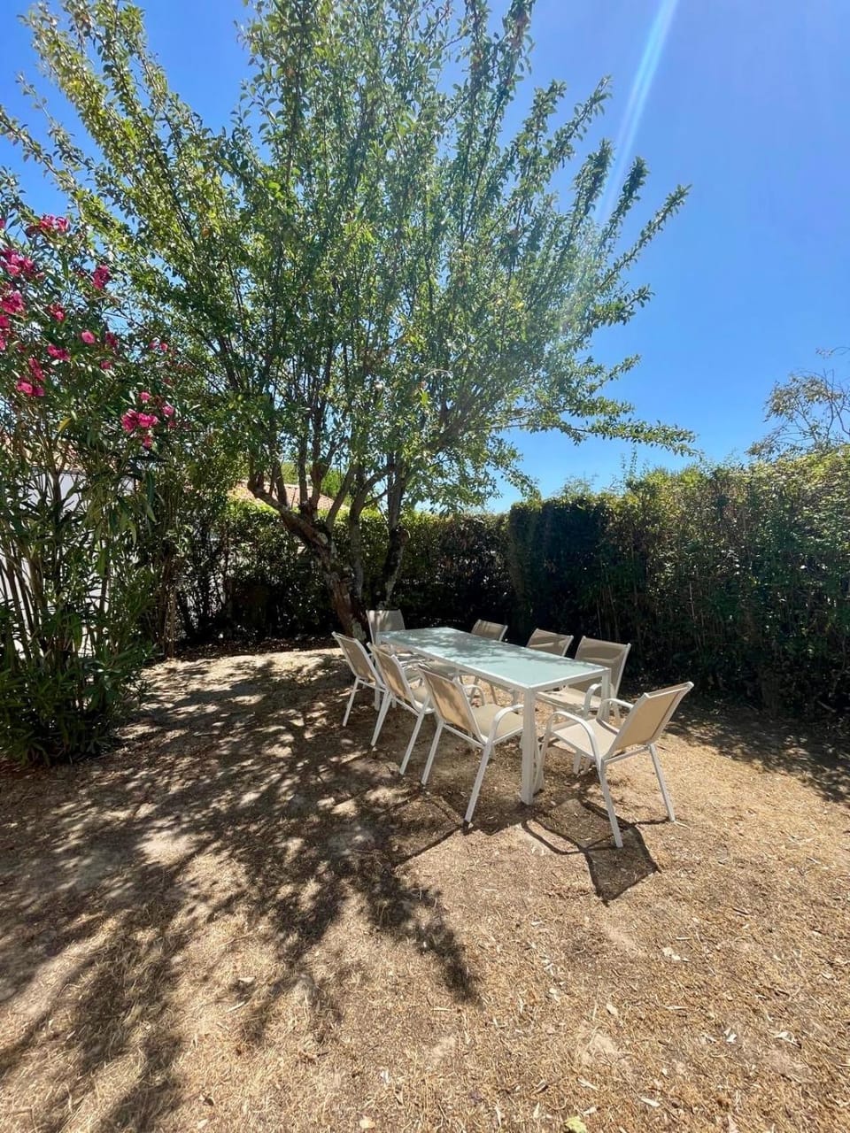 Day, Garden view
