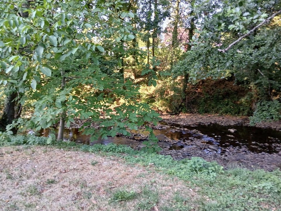Natural landscape, River view