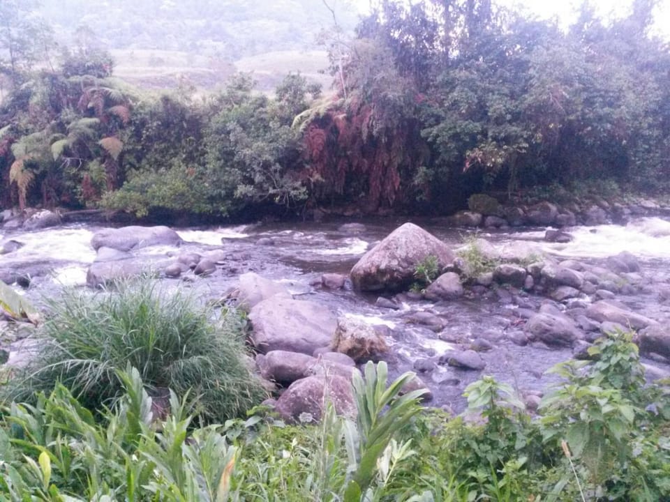 Natural landscape