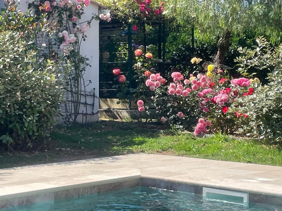 Garden, Pool view