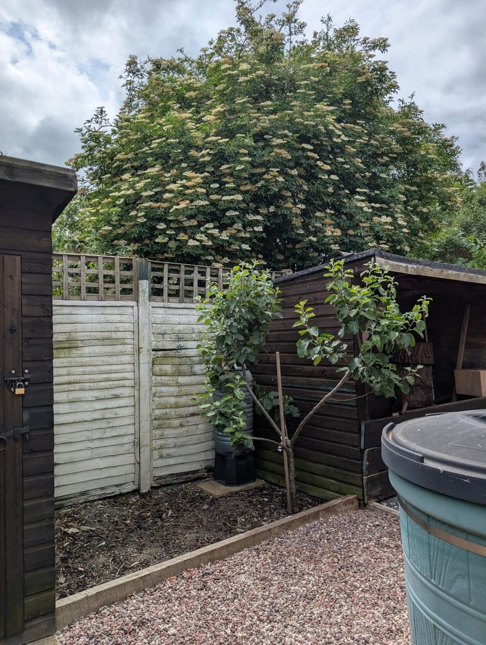Day, Garden
