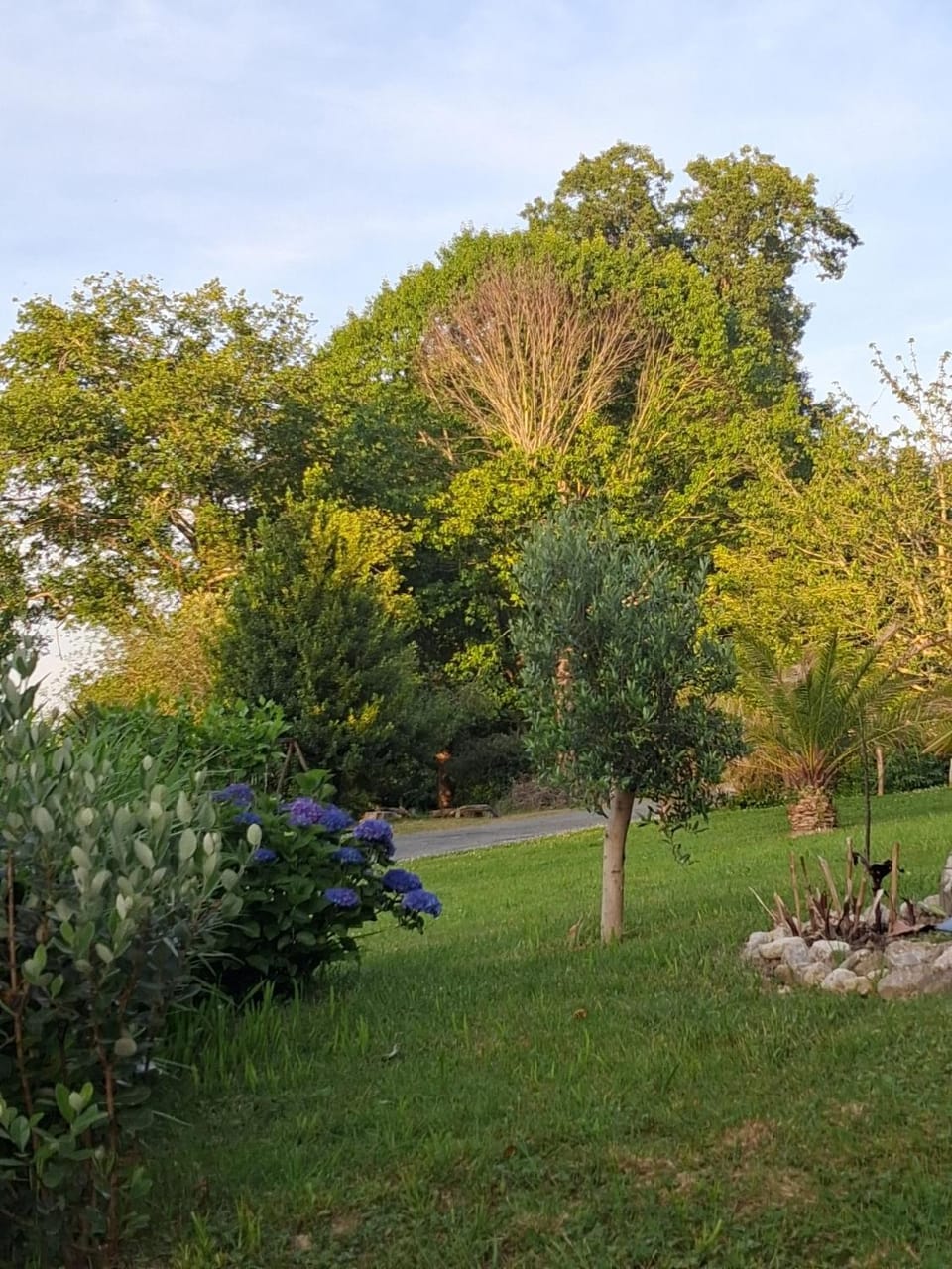 Garden view