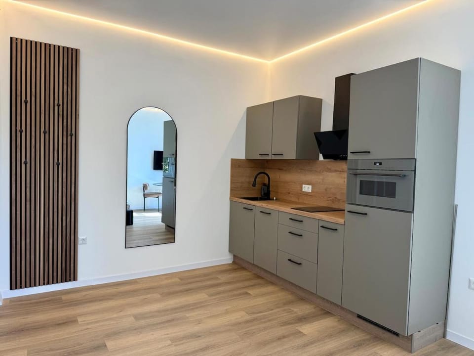 Kitchen or kitchenette, dishwasher, oven, stove