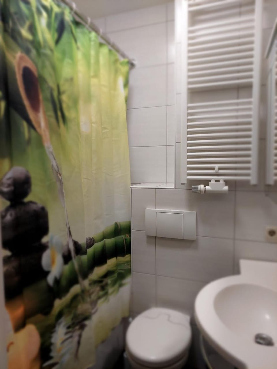 Shower, Toilet, Bathroom, Bath