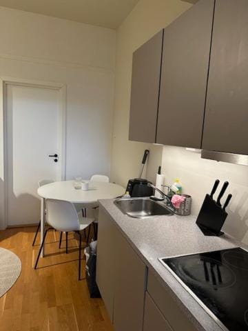1 rom i Trondheim Vacation rental in Trondheim