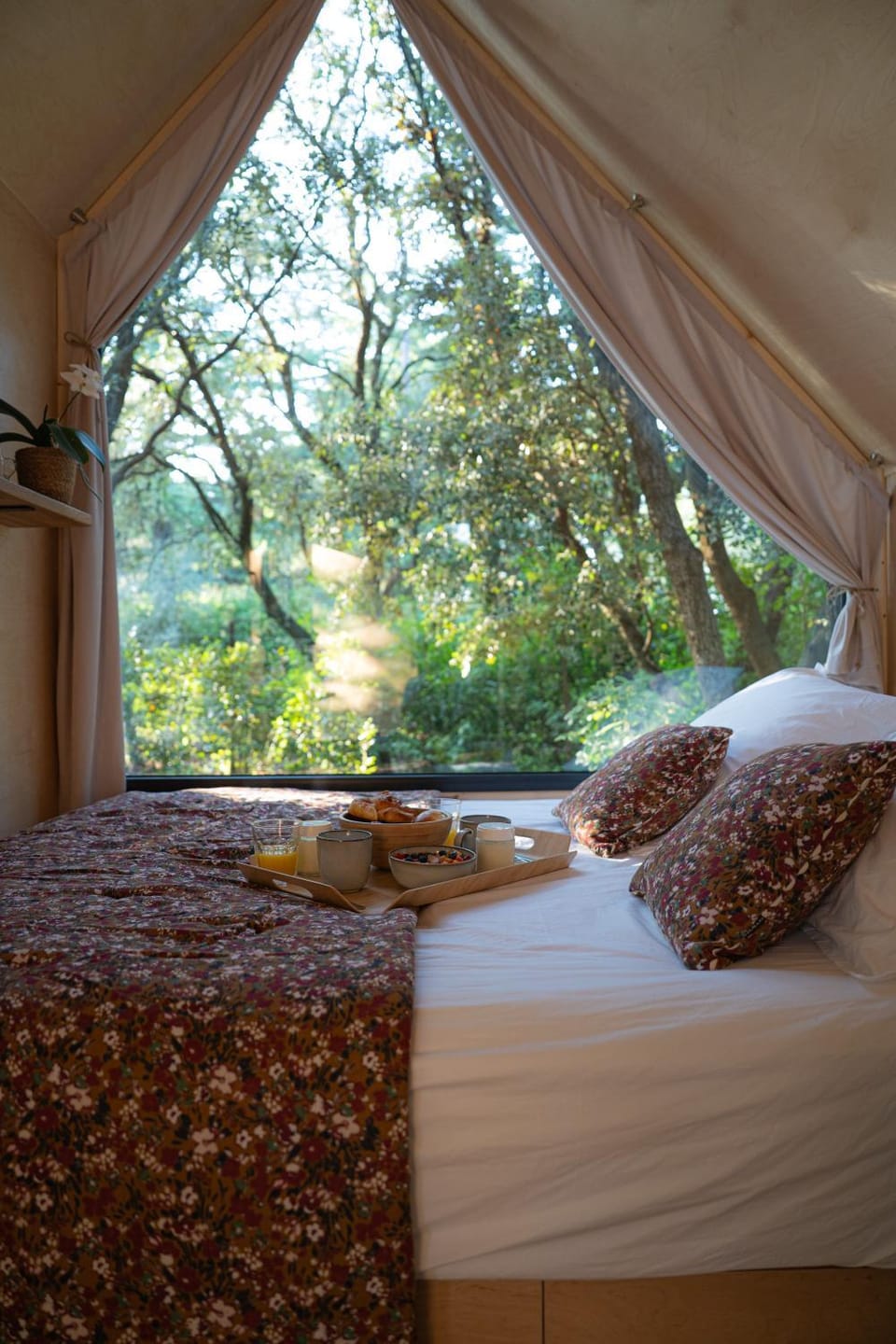 La Tiny sous les pins Nature lodge in Provence-Alpes-Côte d'Azur