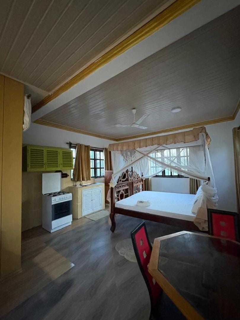 Bed, Kitchen or kitchenette, Seating area, Bedroom