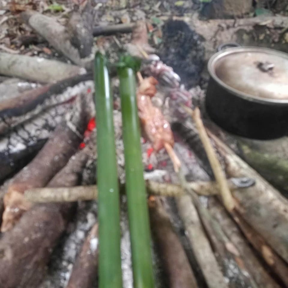 Jungle Survival Skill Trekking and Camp Luxury tent in Vietnam