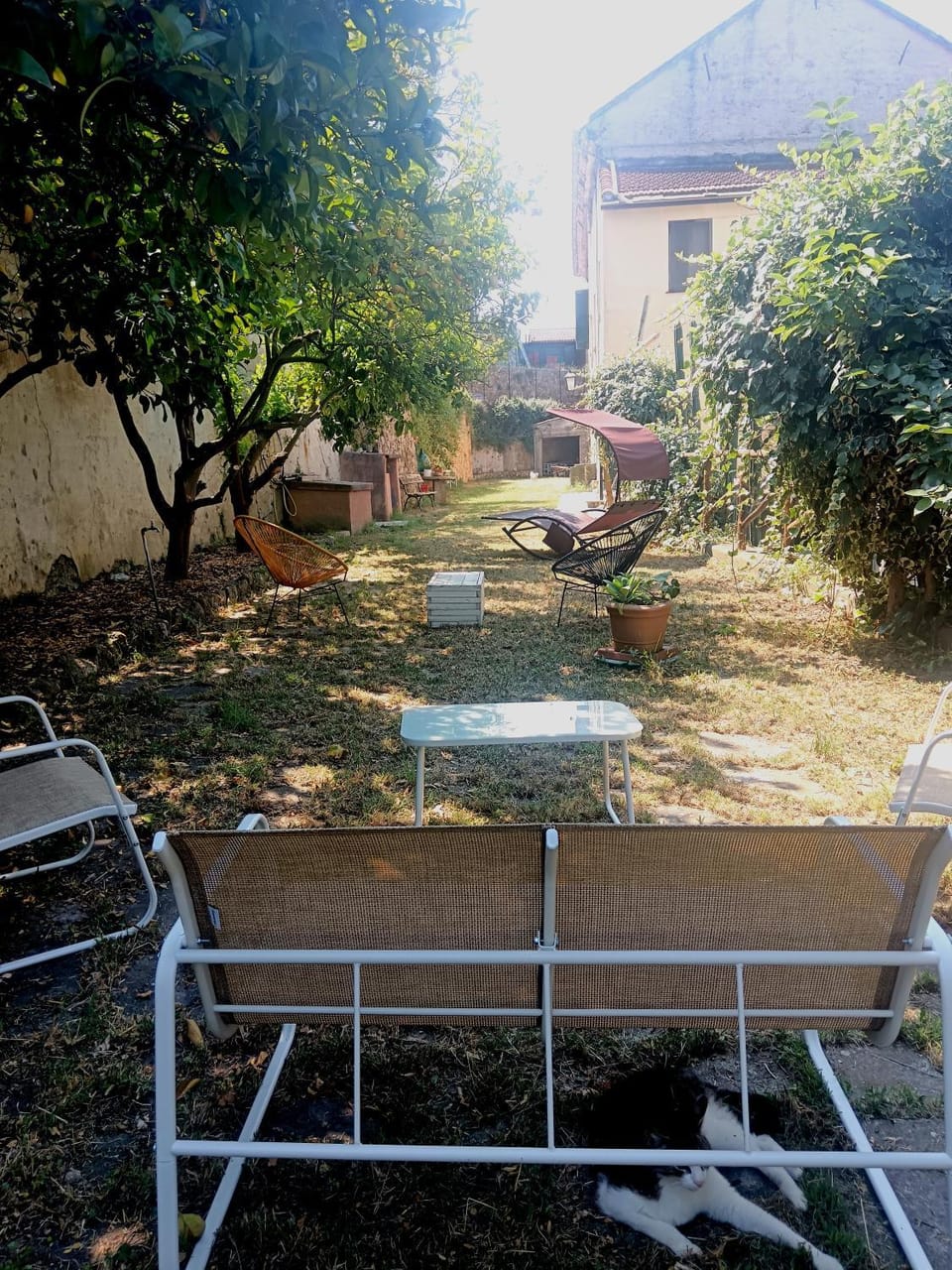 Natural landscape, Garden, Garden view, sunbed