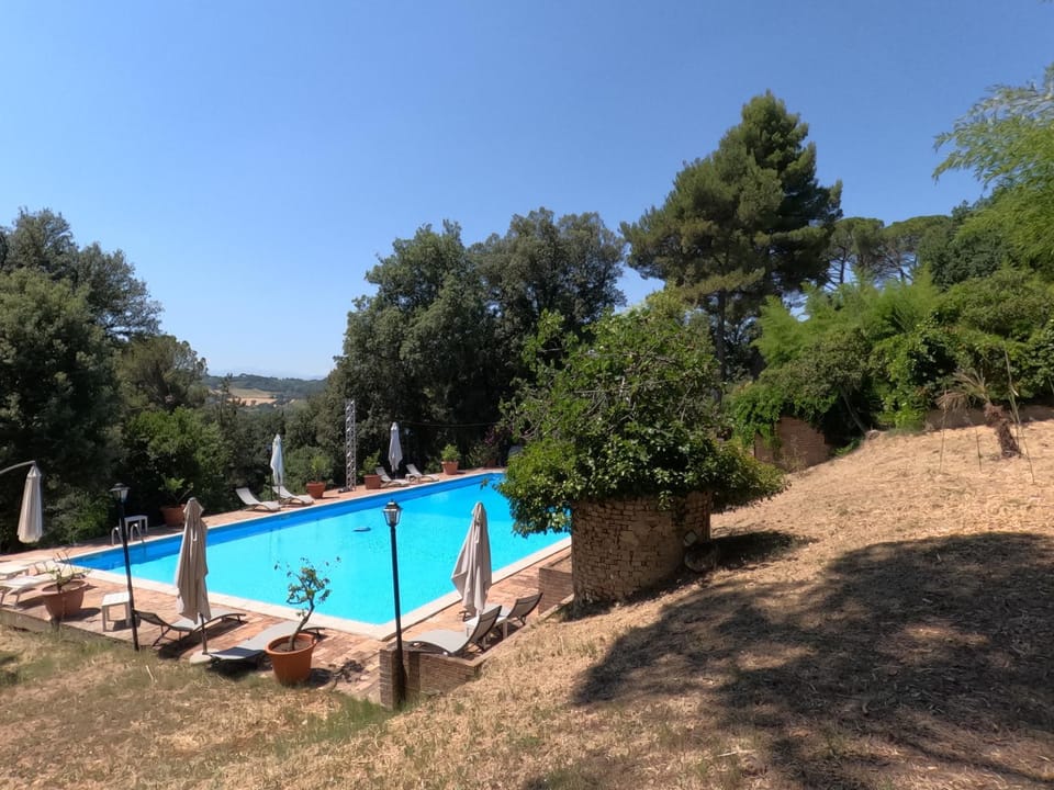 Spring, Day, Natural landscape, Garden, Garden view, Pool view, Swimming pool, sunbed