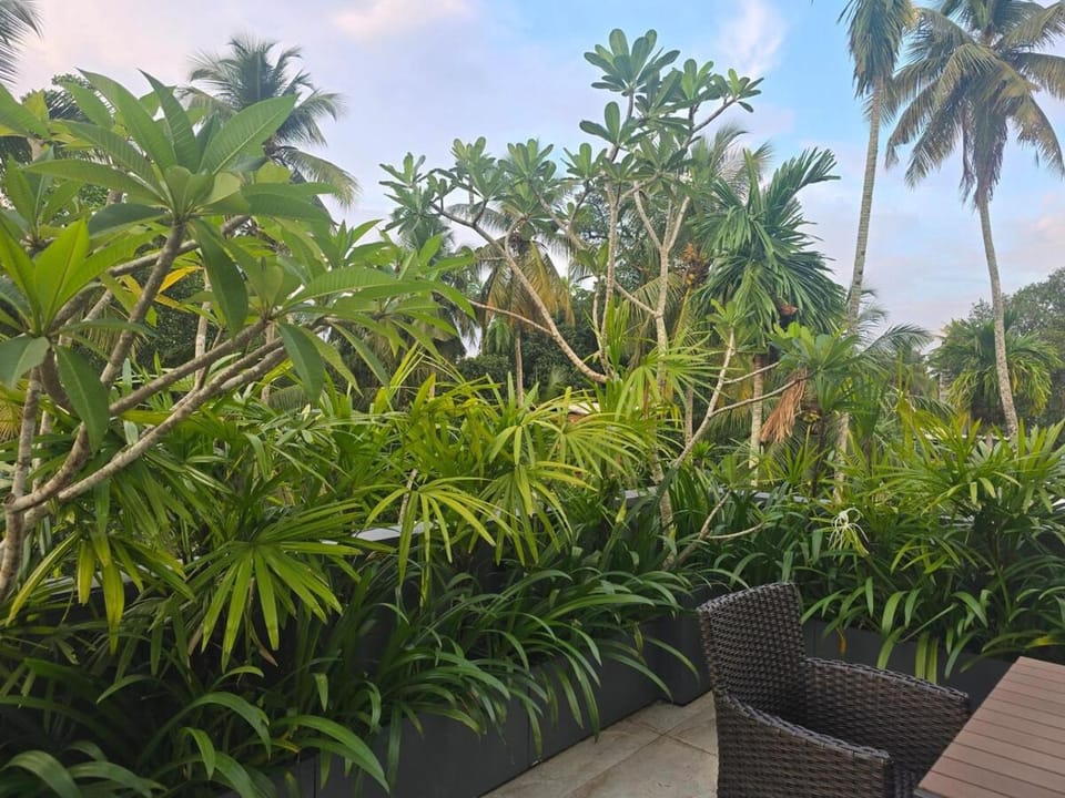 Parrot Edge Colombo - Sky Lounge Apartment in Western Province