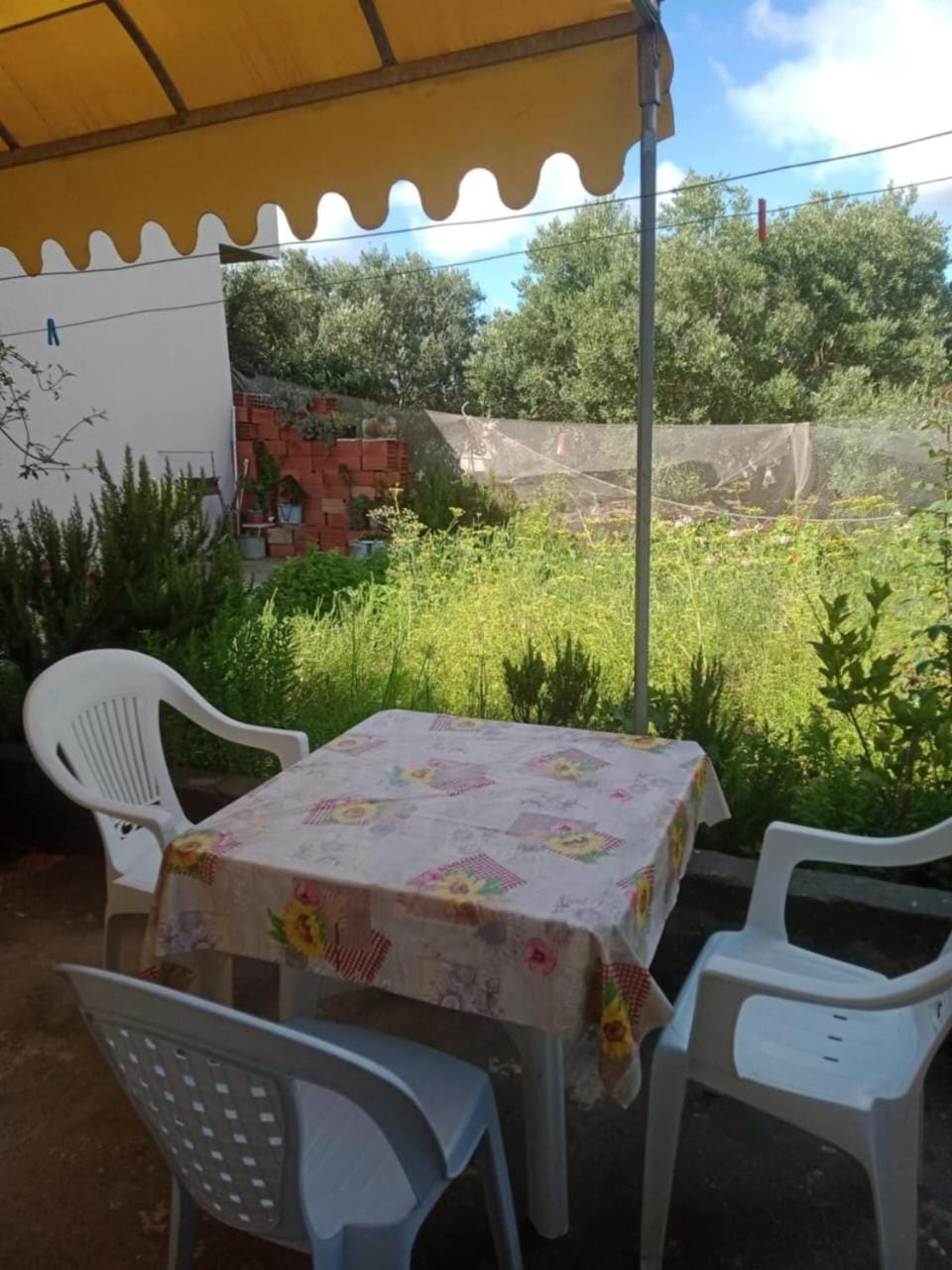 Dar Si Lamin2 House in Tunisia