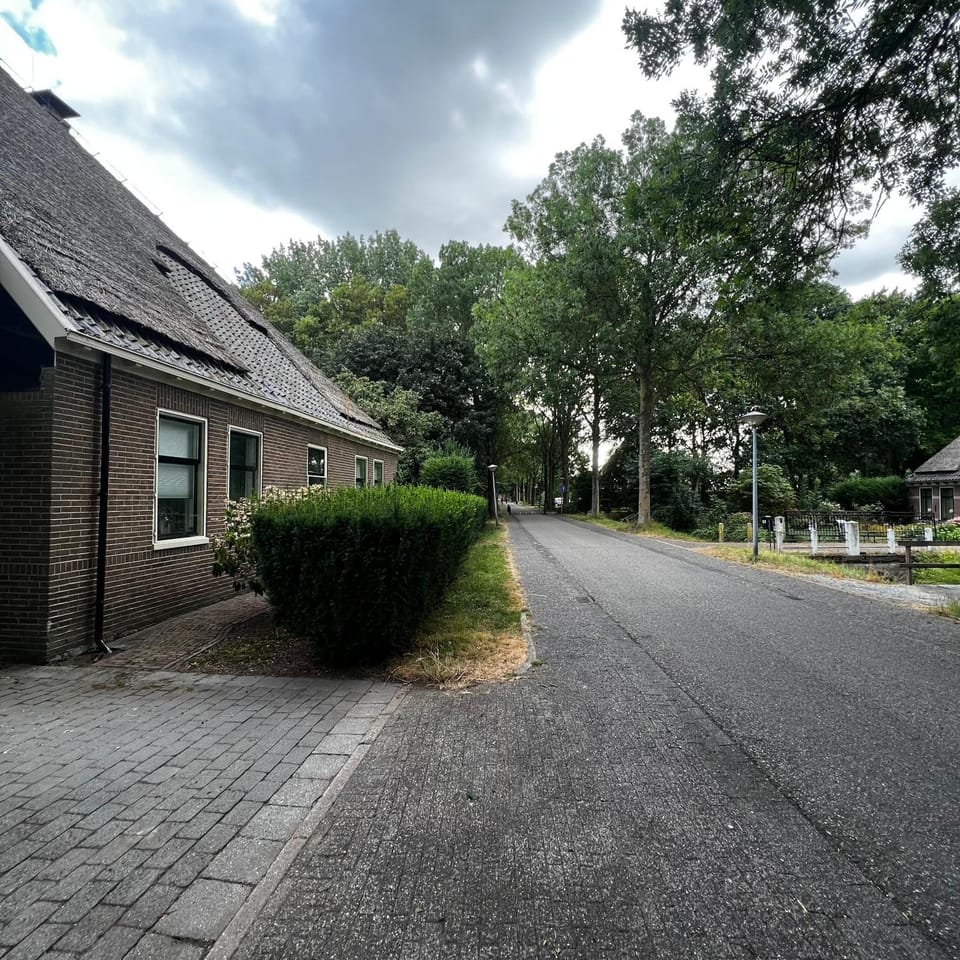Quiet street view