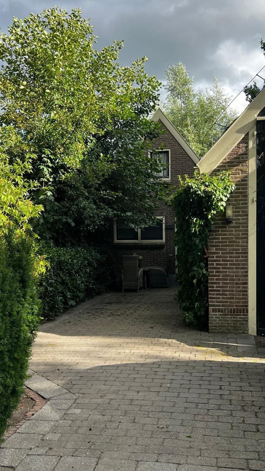 Garden, Garden view