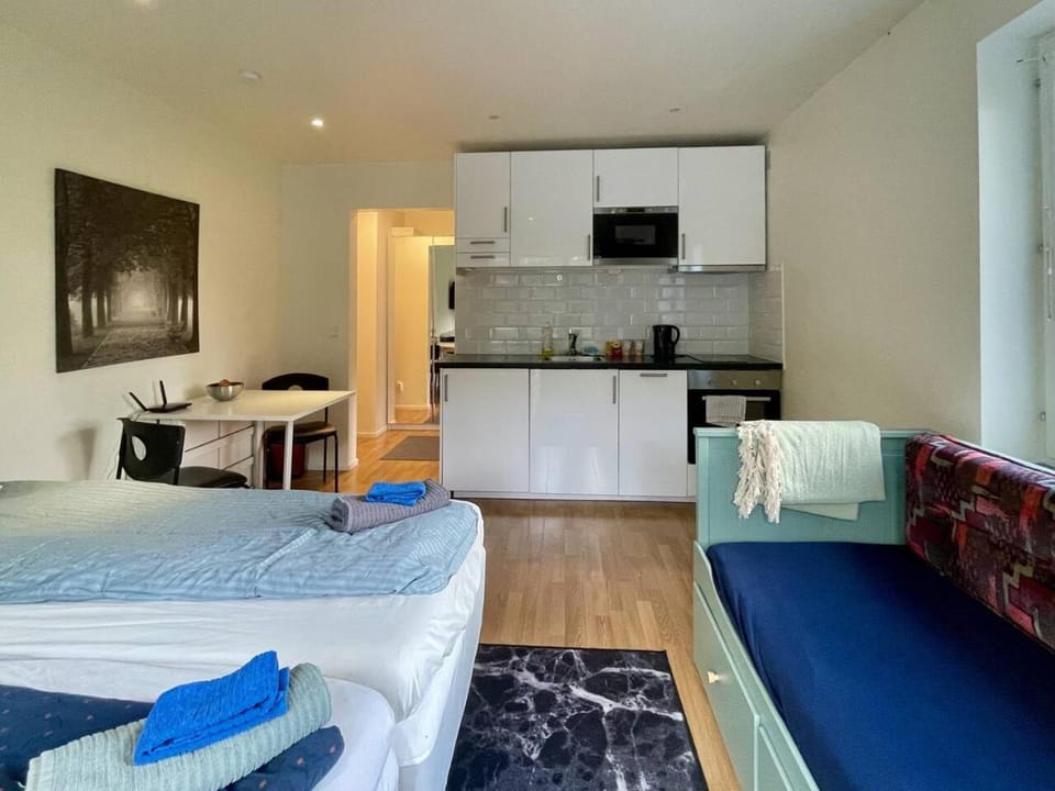 Bed, Kitchen or kitchenette, Photo of the whole room, Seating area