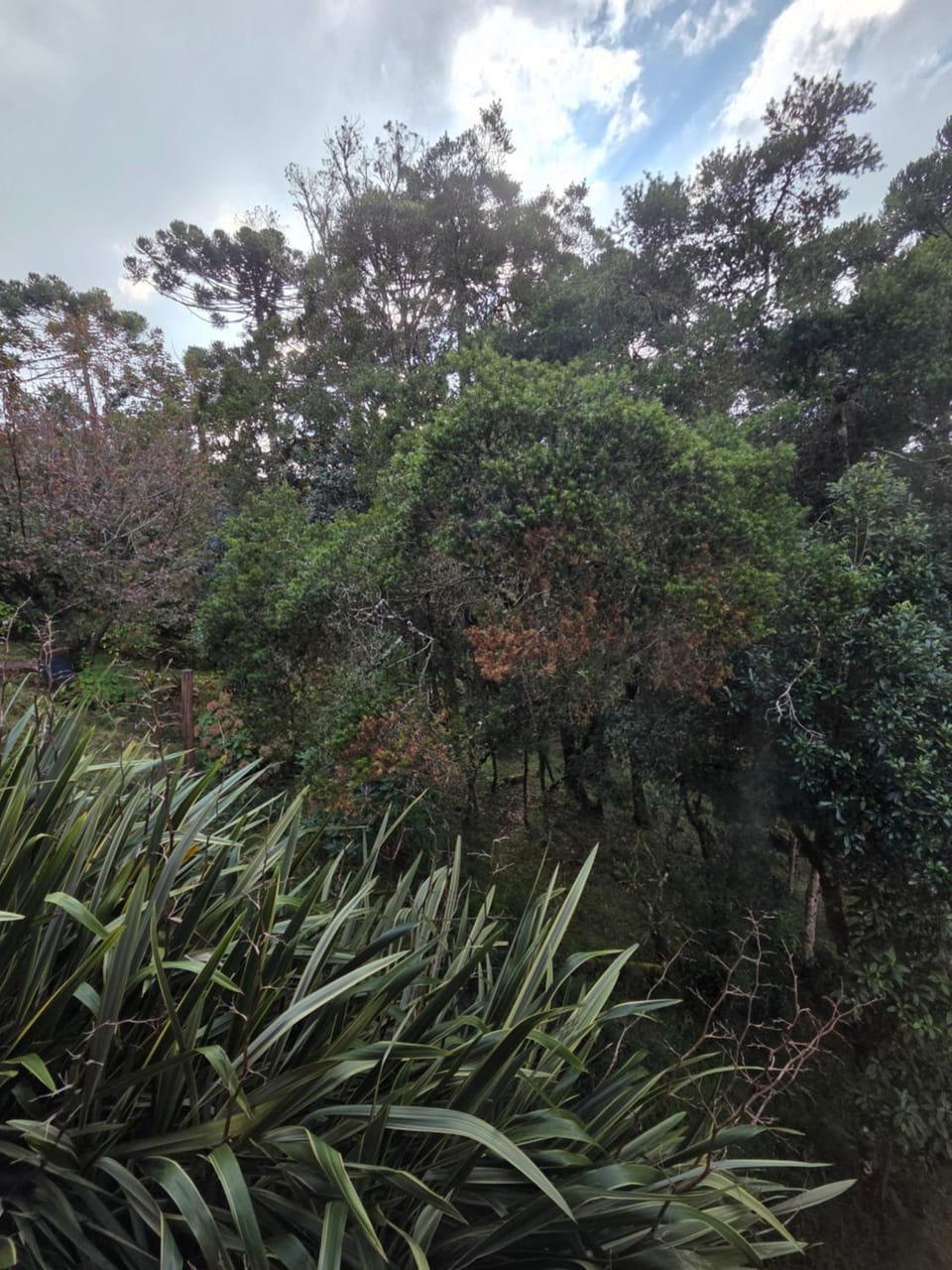 Chales Do Ferradura Bed and Breakfast in State of São Paulo