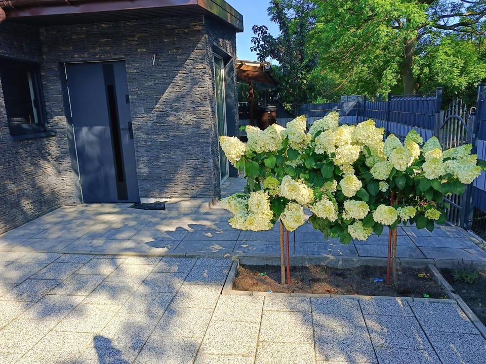 Property building, Spring, Garden, Garden view