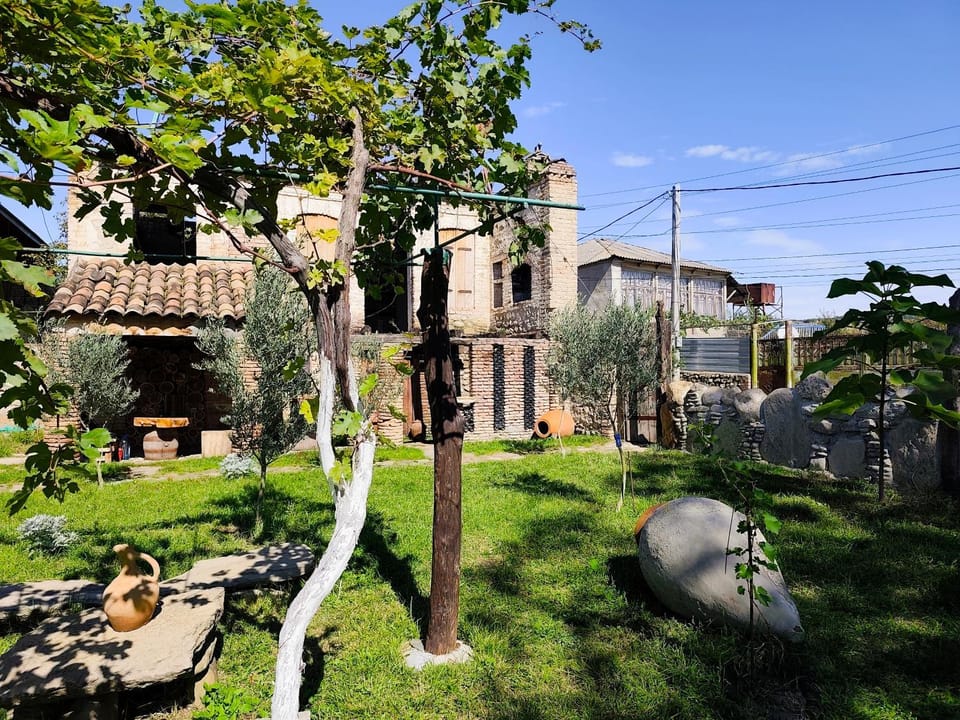 Natural landscape, Garden, Garden, Garden view